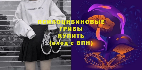 ALPHA PVP Белокуриха