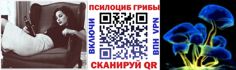продажа наркотиков  Бородино  Псилоцибиновые грибы MAGIC MUSHROOMS 
